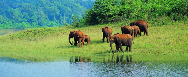 wildlife tour - karnataka tourism