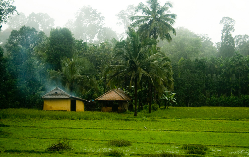 agumbe