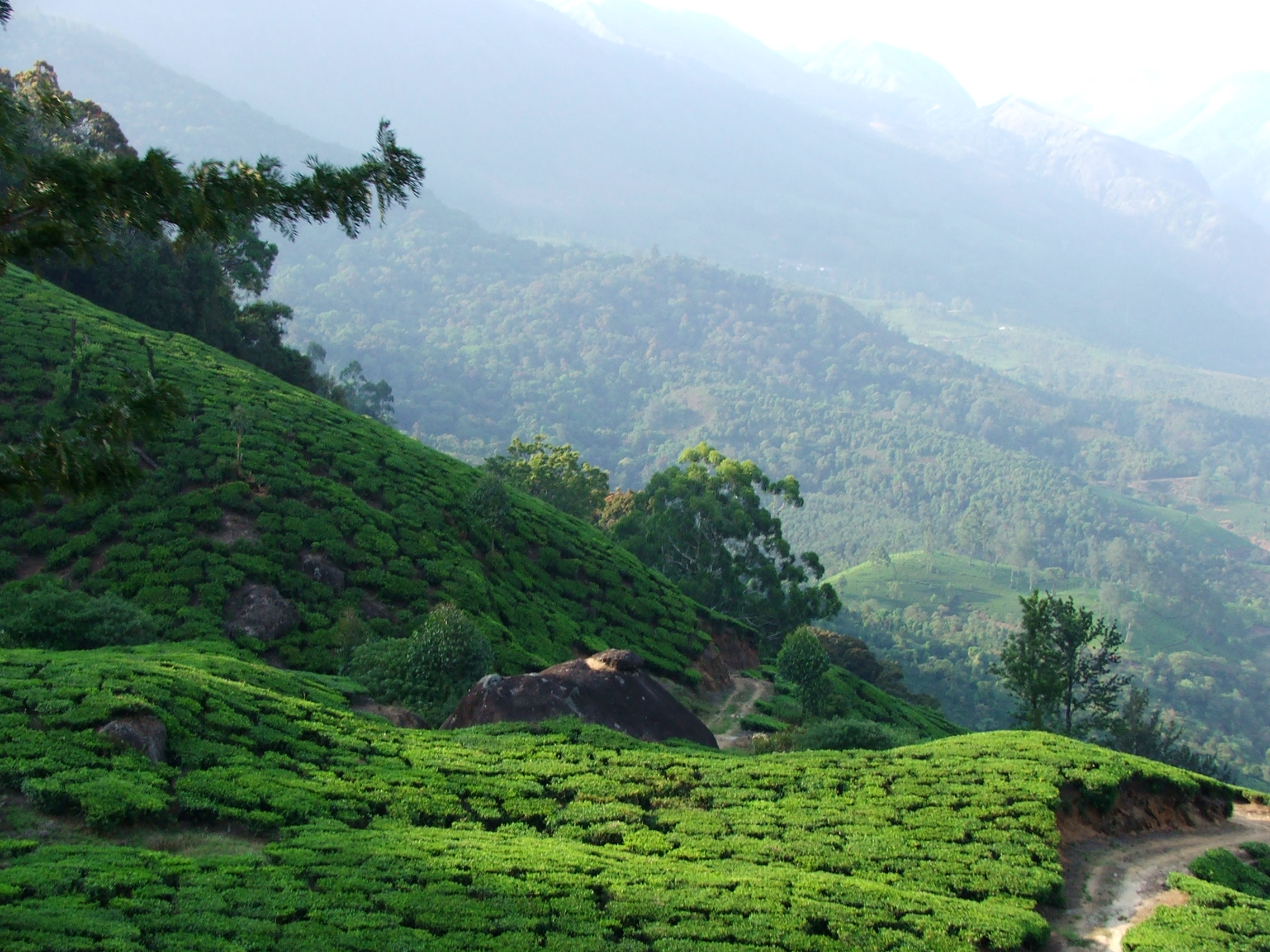 Kerela Hill Station Tour