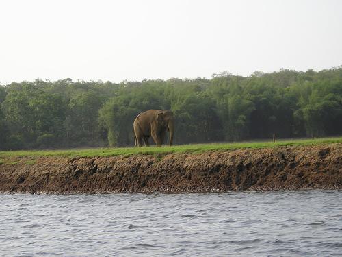 mananthavady