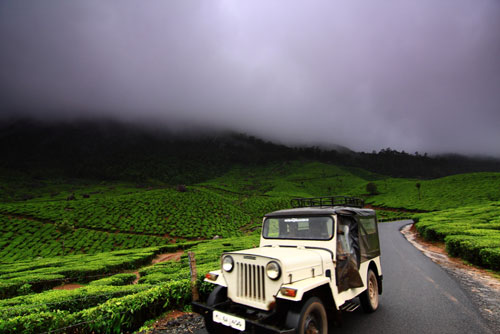 Car Rentals - Bangalore - Munnar - Bus Hire