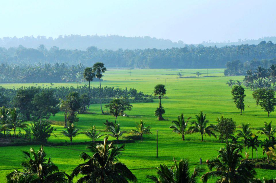 palakkad