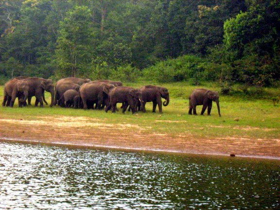 thekkady