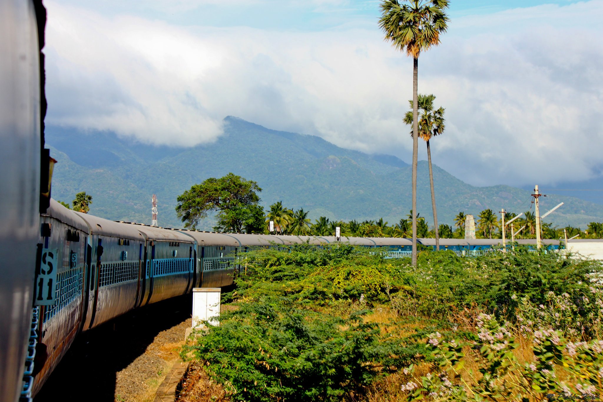 Car Rentals - Bangalore to Courtallam - Bus Hire