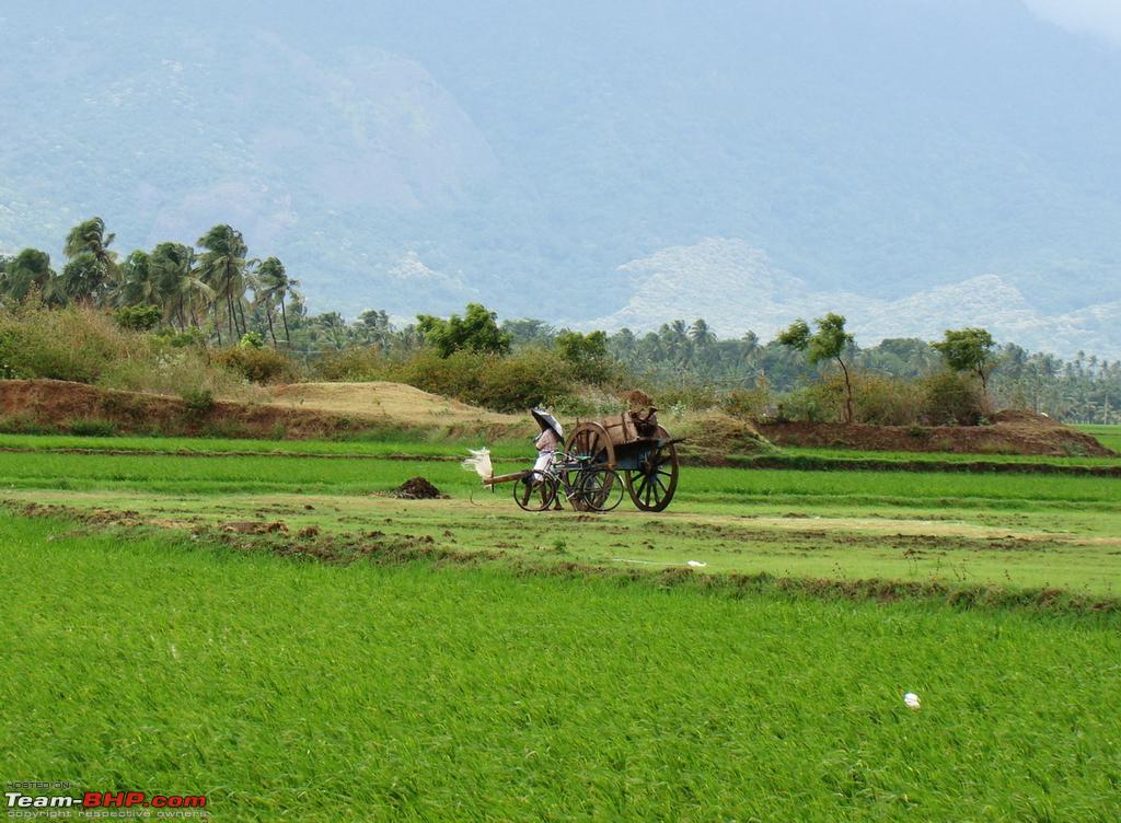 krishnagiri