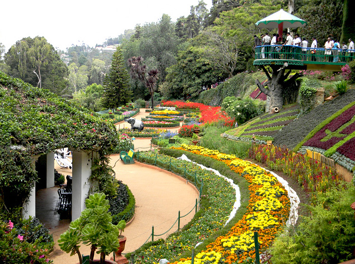 cab hire Bangalore To Ooty tour package