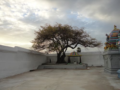 Car hire bangalore to tiruvannamalai one way taxi Bangalore to Tiruvannamalai